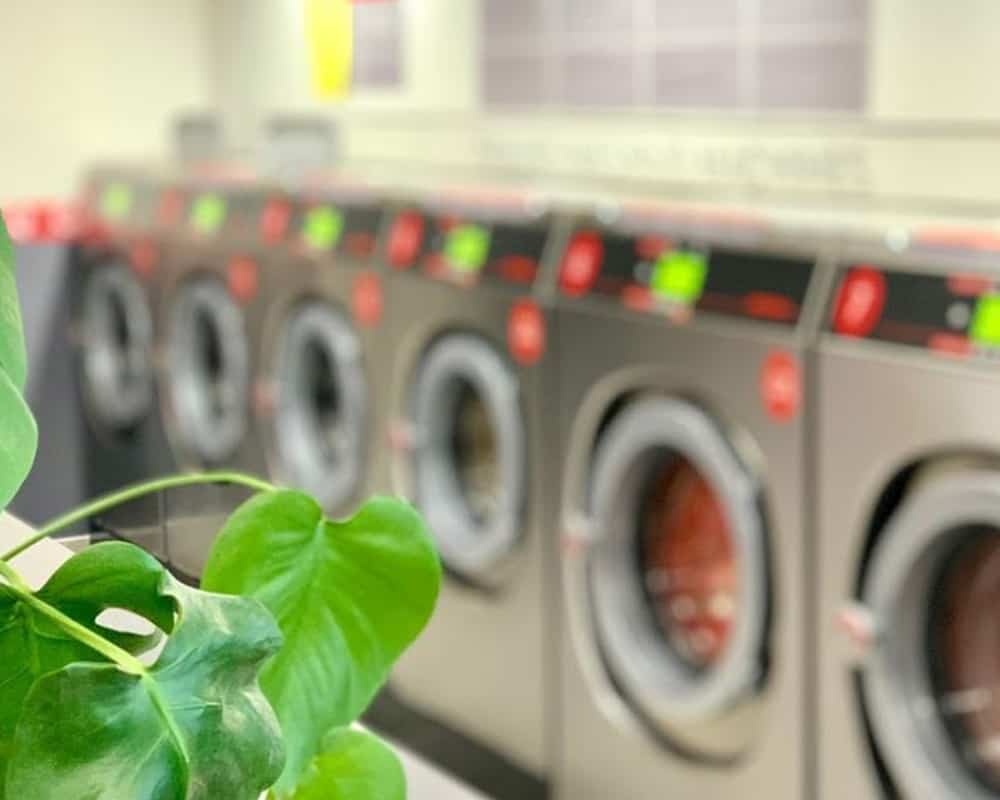 Speed Queen Laundry